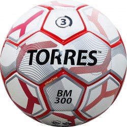 fb_torres_bm300_3_2018_8008