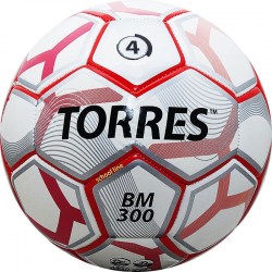 fb_torres_bm300_4_2018_800