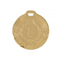 medal_zoloto_047-040-100_800