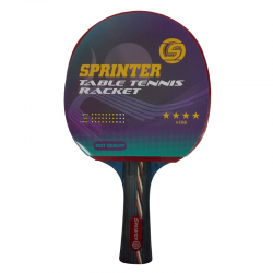 raketka_tennis_4zv