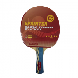 raketka_tennis_5zv